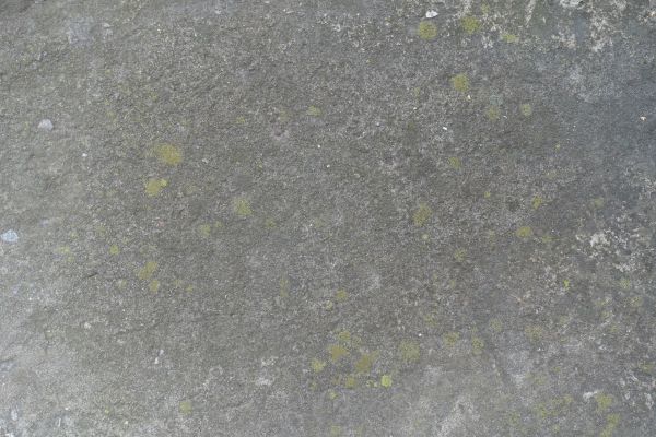 Cost of Slab Staining Service in Gallatin